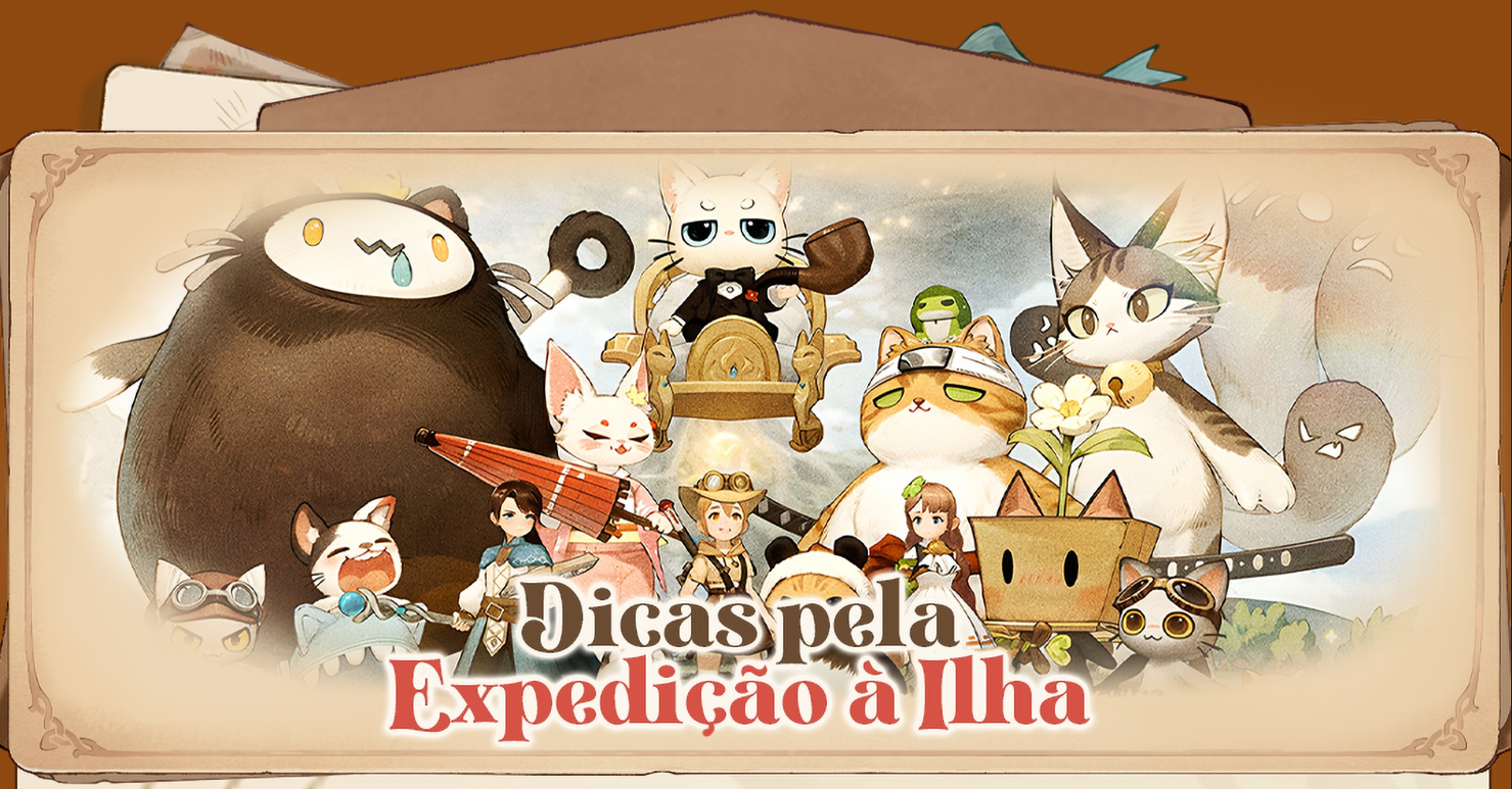 Dicas pela Expedição à Ilha